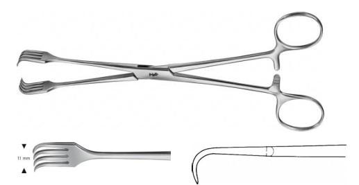 КОРНЦАНГ ЧЕРНИ ЗАХОПЛЮЮЧИЙ, ПРЯМИЙ, 200 ММ